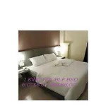 Hotel Spring Inn